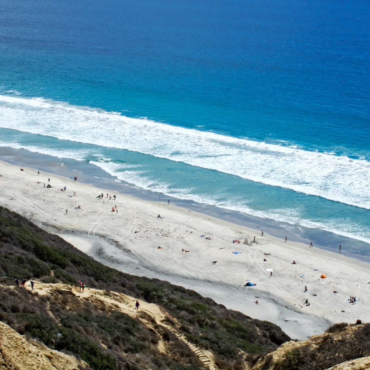 A view from the cliff top above Black's Beach facing out to the Pacific. 