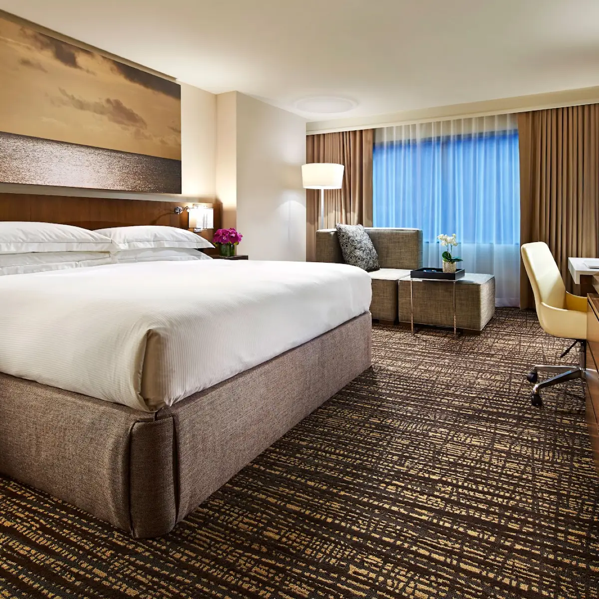 Hilton San Diego Mission Valley
hotel room. 