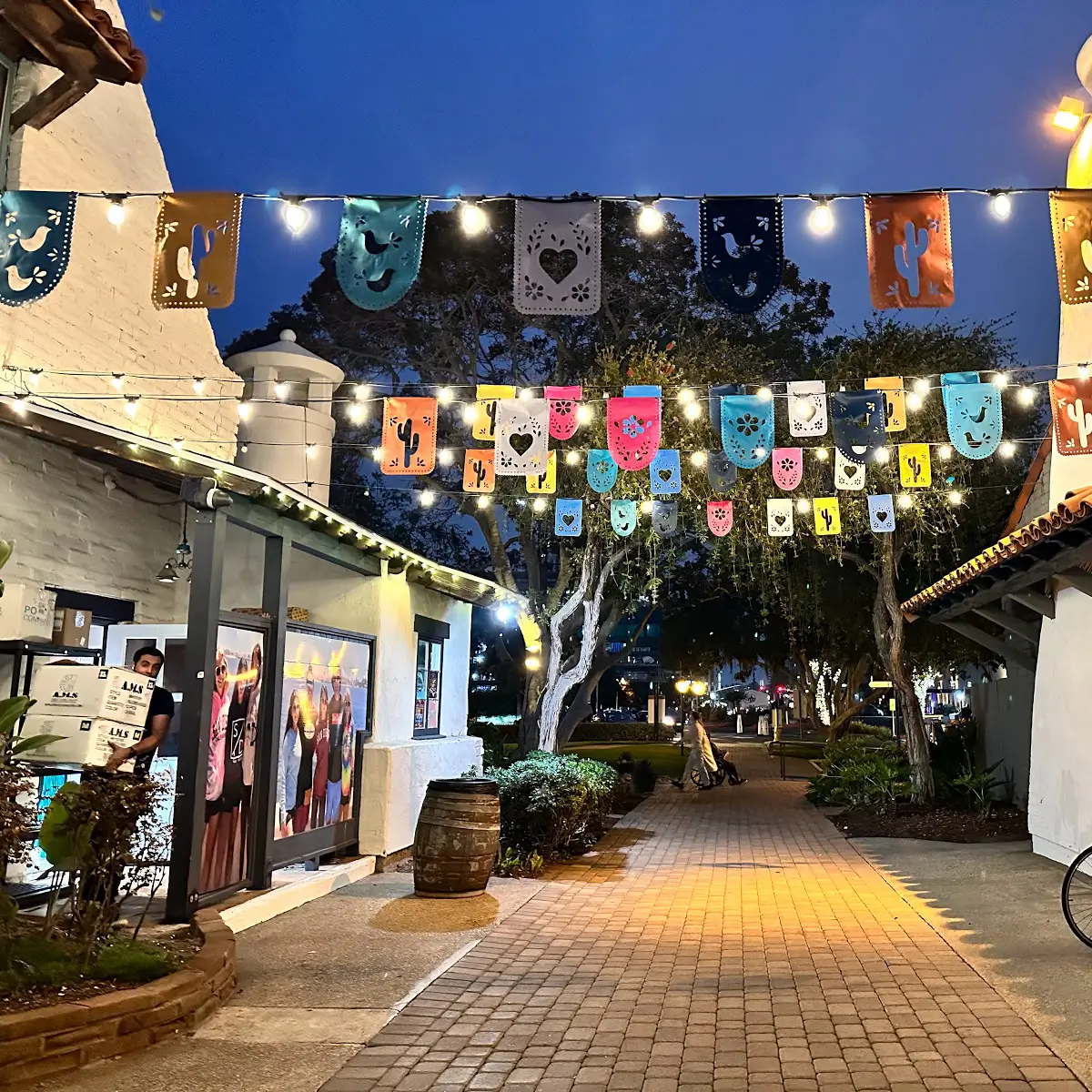 A view of Seaport Village with banners between buildings. 